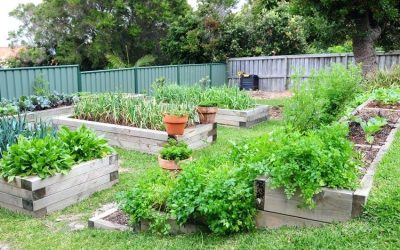 Diseño de jardín de bricolaje +75 ejemplos de fotos