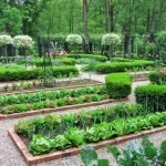 Zonas para plantar vegetales