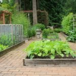Área bien cuidada para plantar vegetales