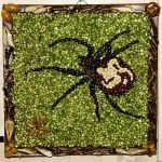 Araña