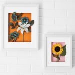 Girasol