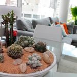 Composición de cactus