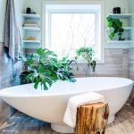 Planta de interior en el baño