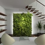 Decoración de pared con plantas de interior.