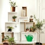 Bastidor para plantas