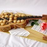 Violín