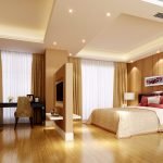 Sala de estar combinada con dormitorio