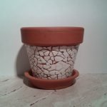 El caparazón en las paredes de la olla.