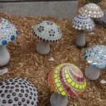 Hongos