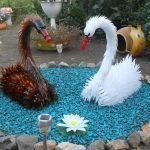 Cisnes
