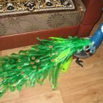 Pavo real