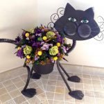 Gato