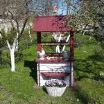 Diseño de jardín de bricolaje