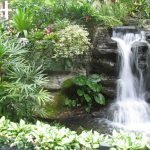 Plantas en las paredes
