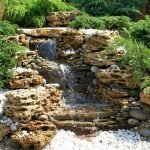 La combinación de piedras y plantas.