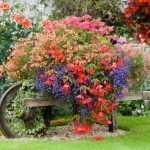 Cama de flores de un auto