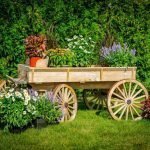 Flores en un carro