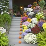 Flores en los escalones