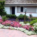 Linternas en el jardín de flores