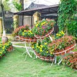 Jardín de flores del país