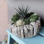 Composición de plantas de interior.