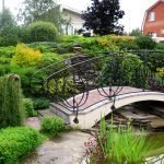 Puente en el sitio
