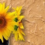 Girasoles en la pared