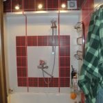 Glóbulo rojo en diseño de baño