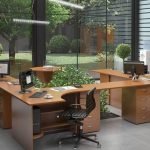 Oficina con vista al parque