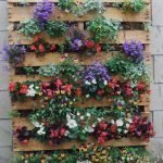 Cama de flores junto a la pared