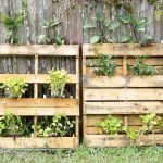 Plantas en palets