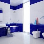 Baño azul y blanco