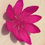 Hacemos la base de la flor