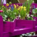 Macizo de flores en el banco
