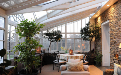 Winter Garden: estilos de diseño, reglas de disposición
