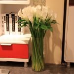 Libros en el armario