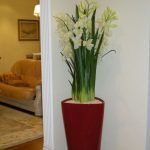 Florero en la esquina