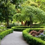 Árboles en una parcela personal