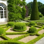 Arbustos en el diseño del jardín.