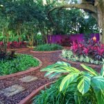Flores y plantas en el jardín