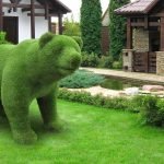 Arbusto en forma de oso