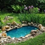 Iris por el agua