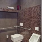 Azulejos y mosaicos en el diseño del inodoro.