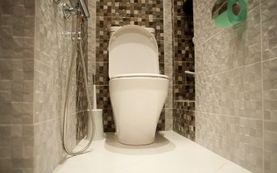 Ejemplos de diseño de azulejos de inodoro