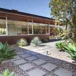 Algunas plantaciones en el patio.