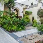 Palmeras y otras plantas