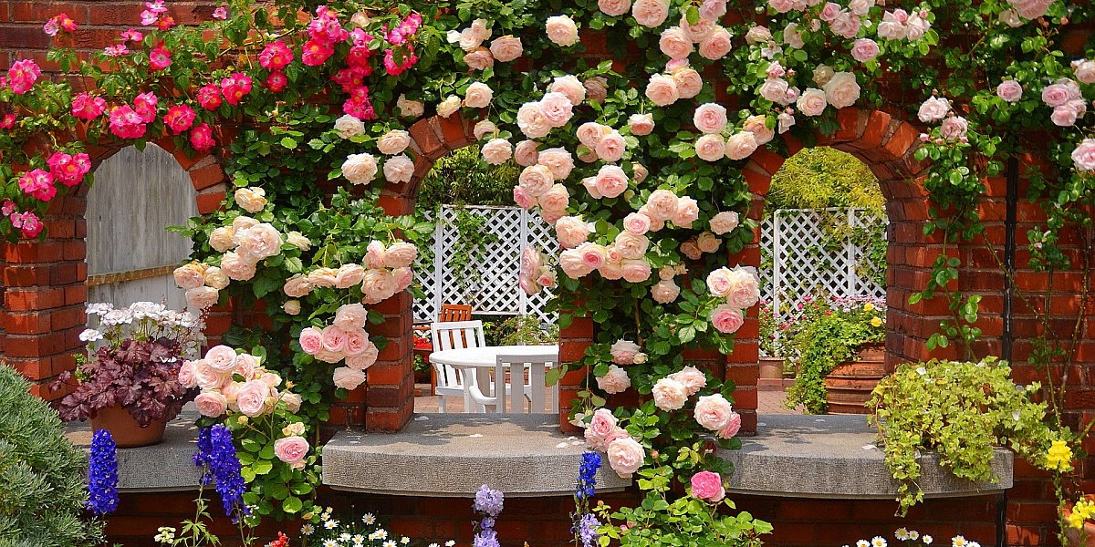 Ruže u pejzažnom uređenju