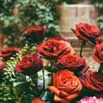 Rosas rojas en el diseño del infield