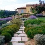 Lavanda en la trama