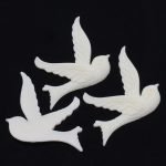Pájaros